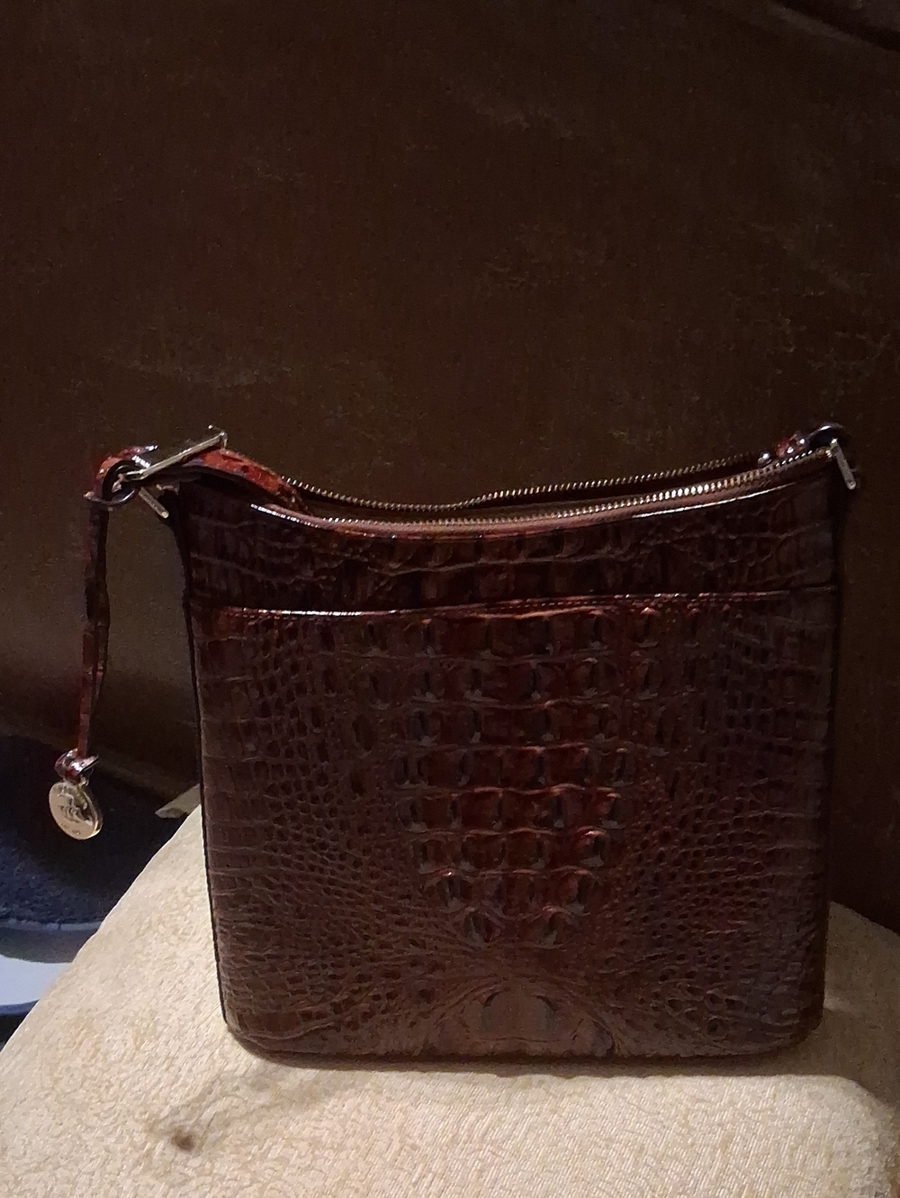 Brown Brahmin